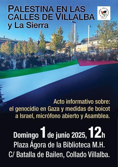 Palestina en las calles de Villalba y la Sierra