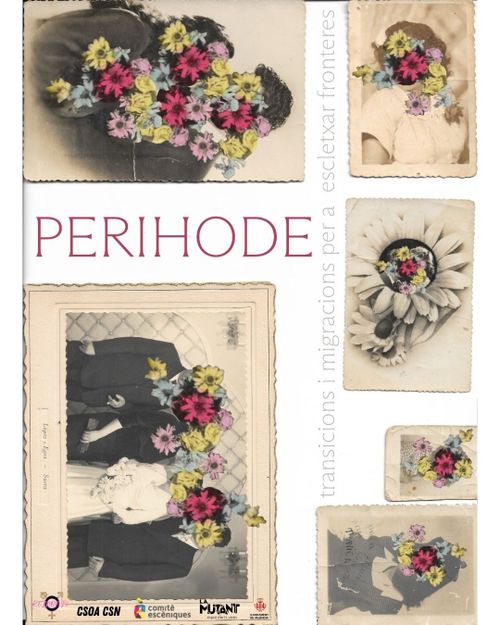 PERIHODE: crear arxiu de transicions i migracions