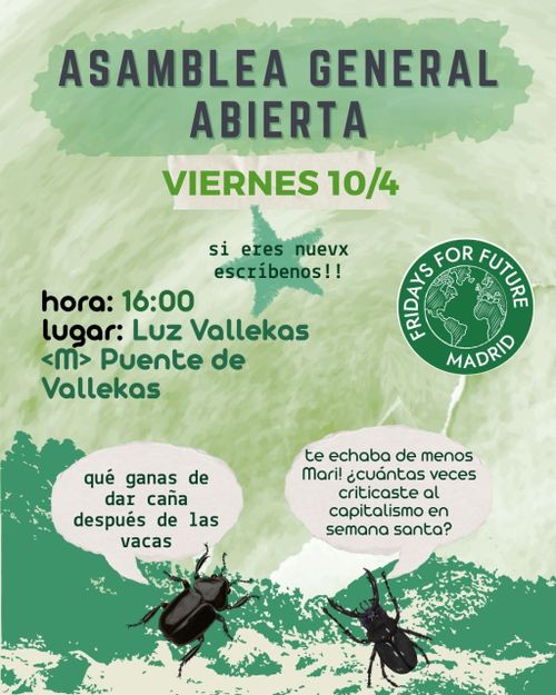 Asamblea General Fridays For Future