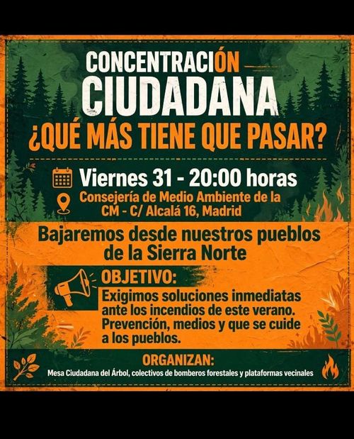 Concentración ciudadana: ¿QUÉ MAS TIENE QUE PASAR?