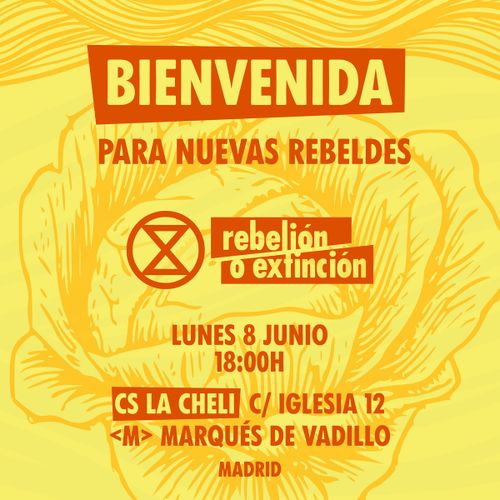 Bienvenida Nuevas Rebeldes - Rebelión o Extinción