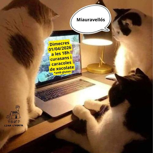 TALLER DE PASTISSERIA VEGANA