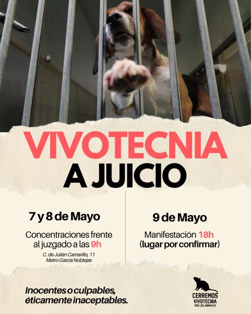 Vivotecnia a Juicio