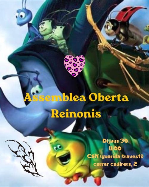 Assemblea oberta de Reinonis