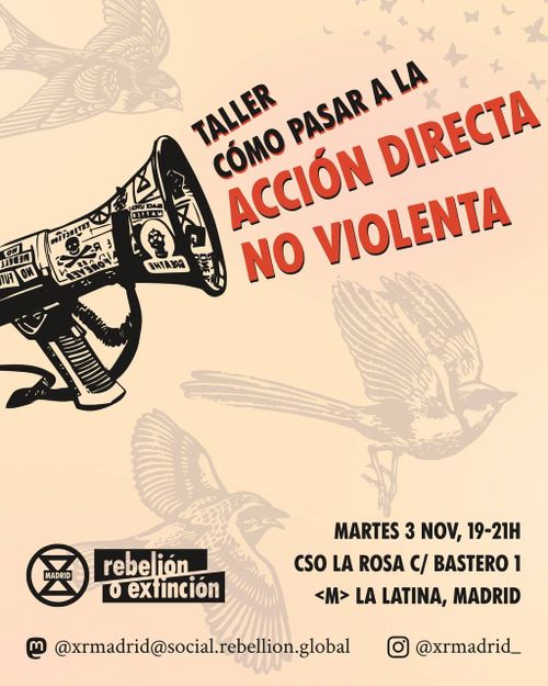 💥Taller: Cómo pasar a la acción directa no violenta  