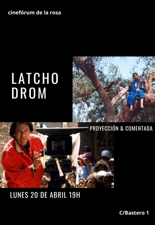 Cineforum de la Rosa