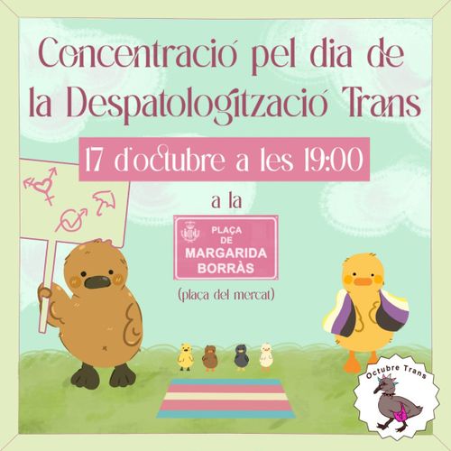 Concentració per la despatologització trans