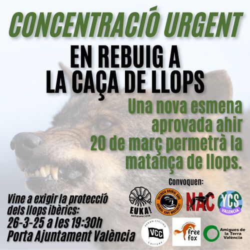 Concentració urgent en rebuig a la caça de llops
